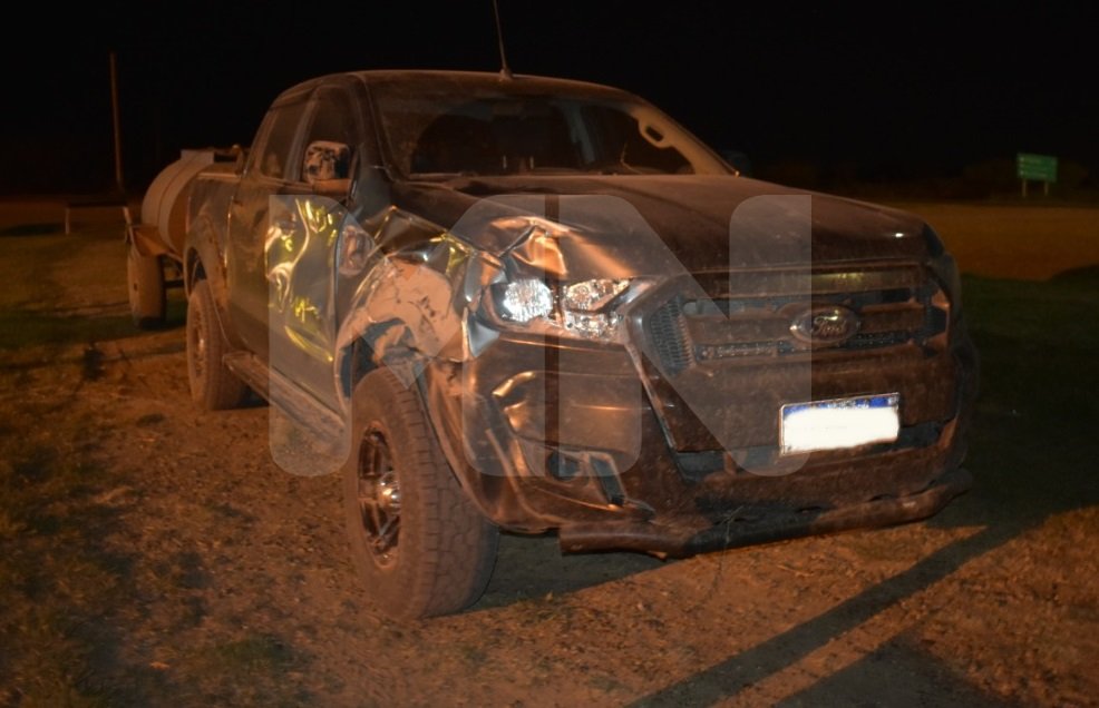 Una camioneta embistió un animal vacuno en la ruta 20