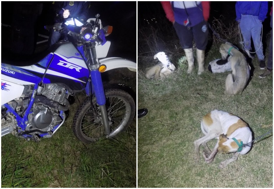 Un joven de 20 años fue colisionado en la ruta 11