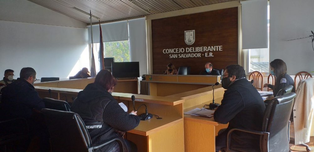 Se reunió la comisión especial de Inmuebles