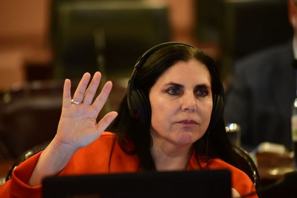 Legisladora pidió apertura de pasos fronterizos con Uruguay