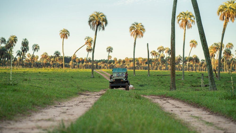 Las reservas hoteleras superan el 90 por ciento en la provincia