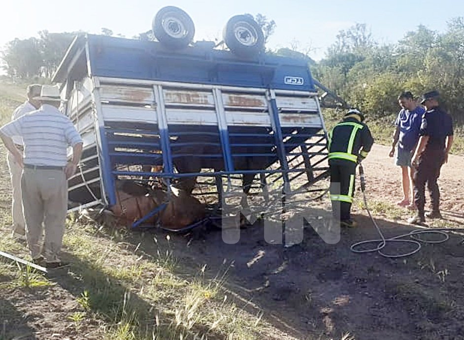 Volcó un trailer con cuatro caballos