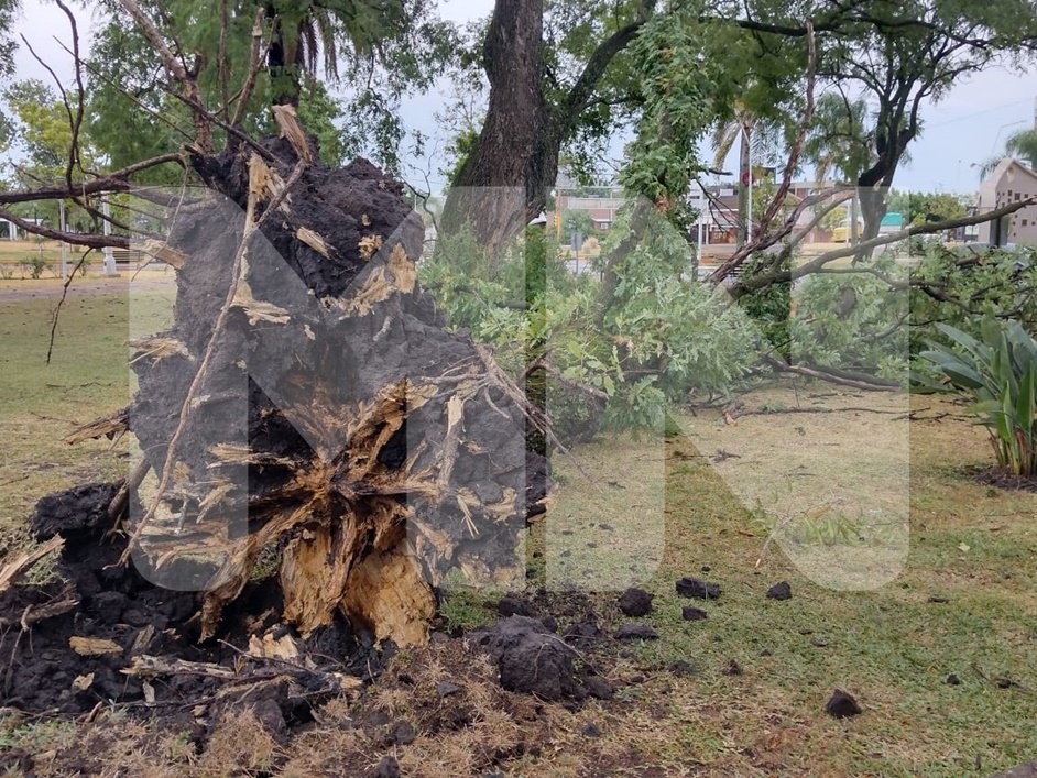 La tormenta de Año Nuevo causó destrozos en San Salvador y la región