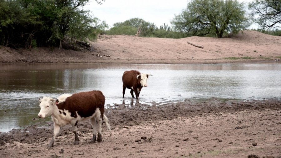 Entre Ríos y la peor sequía en 60 años