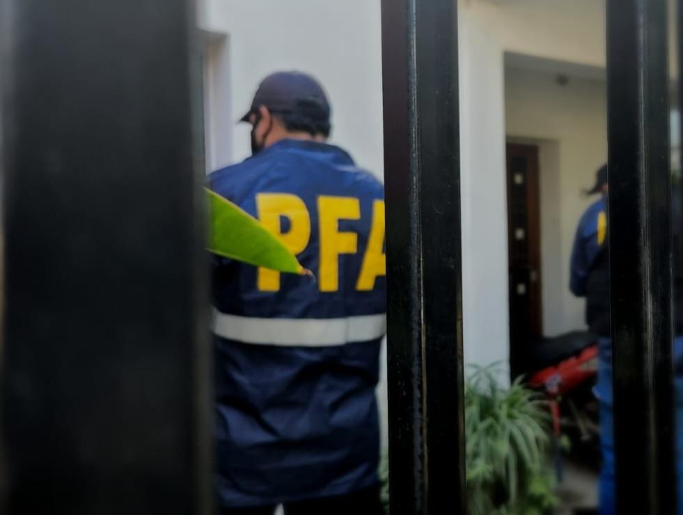 La PFA secuestró plantas y semillas de marihuana