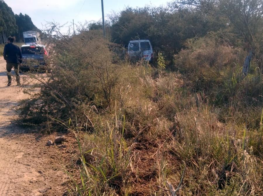 Camioneta despistó y chocó contra un árbol