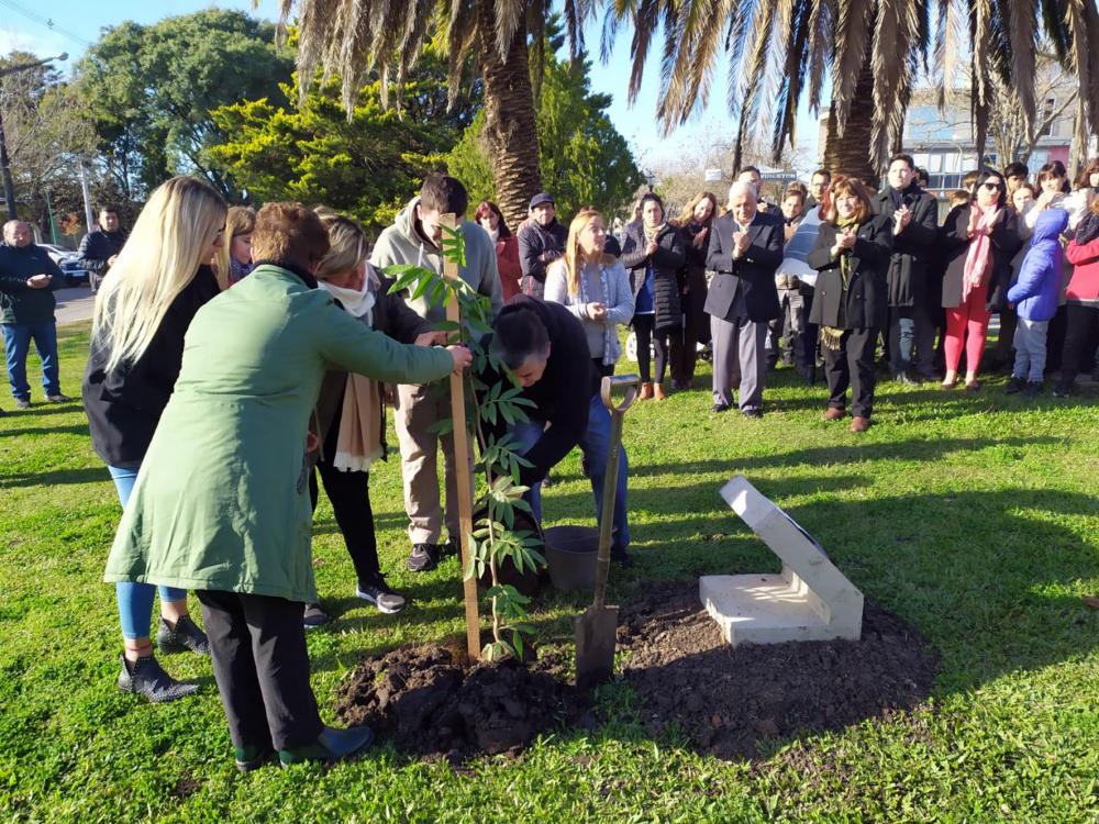 Plantan árboles en homenaje a los donantes de órganos
