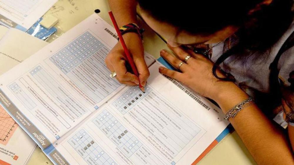 Hay más dificultades en el aprendizaje de Lengua que de Matemática