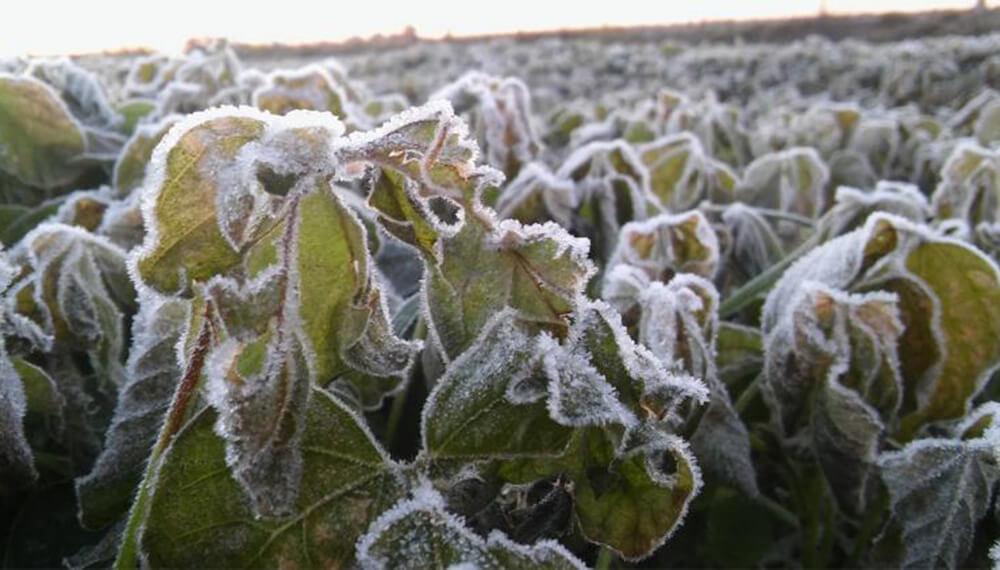 Vuelve el frío polar y las heladas fuertes