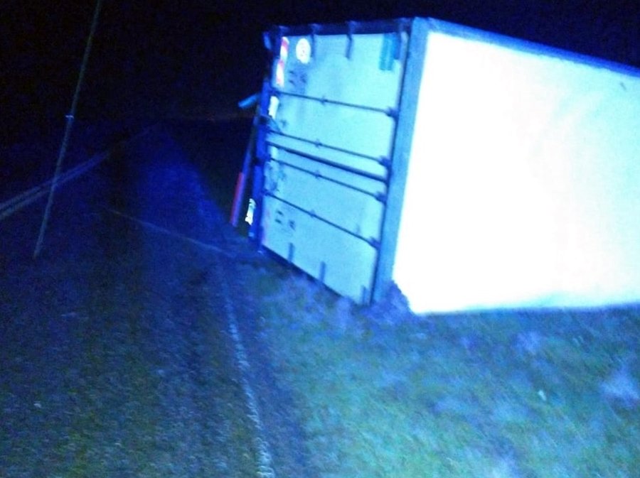 Un camión volcó en la ruta 12