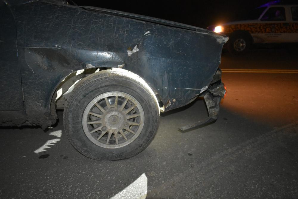 Un automóvil colisionó una oveja en la ruta 22