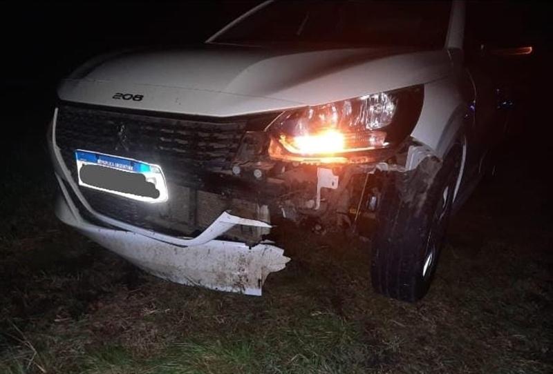 Un automóvil colisionó contra un animal silvestre en la ruta 130