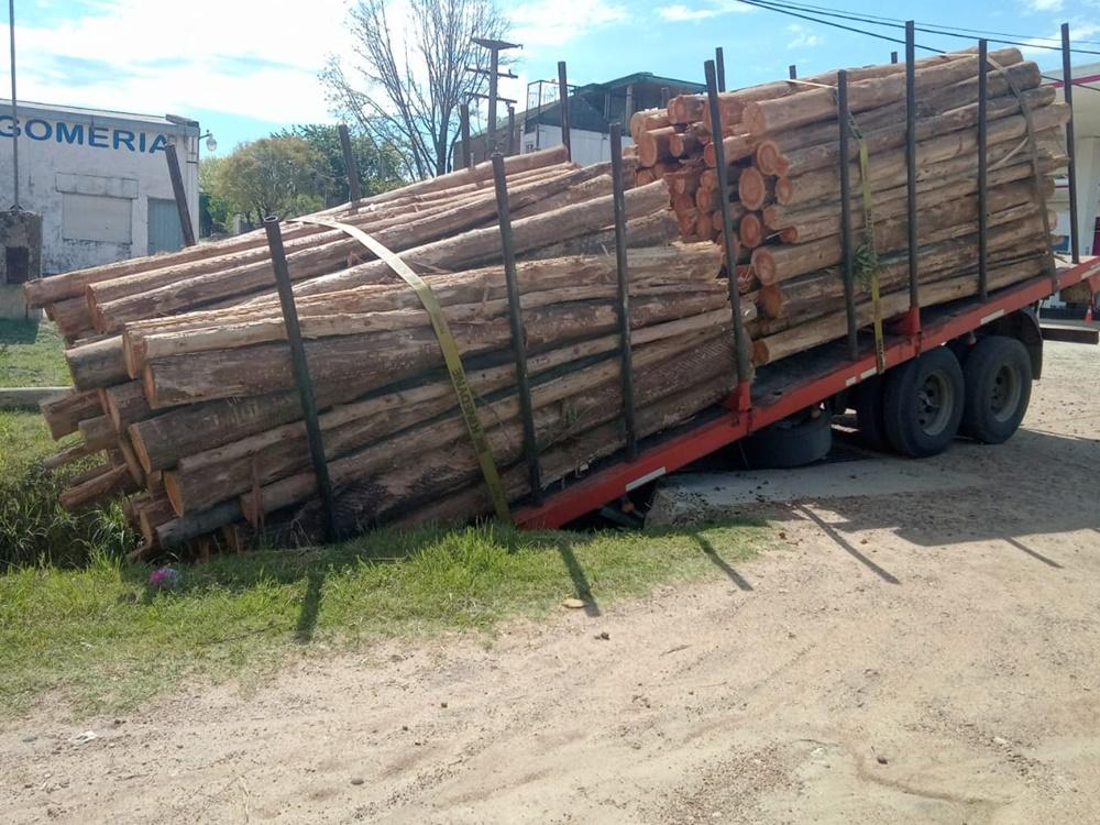 Acoplado cargado con palos cayó en una cuneta