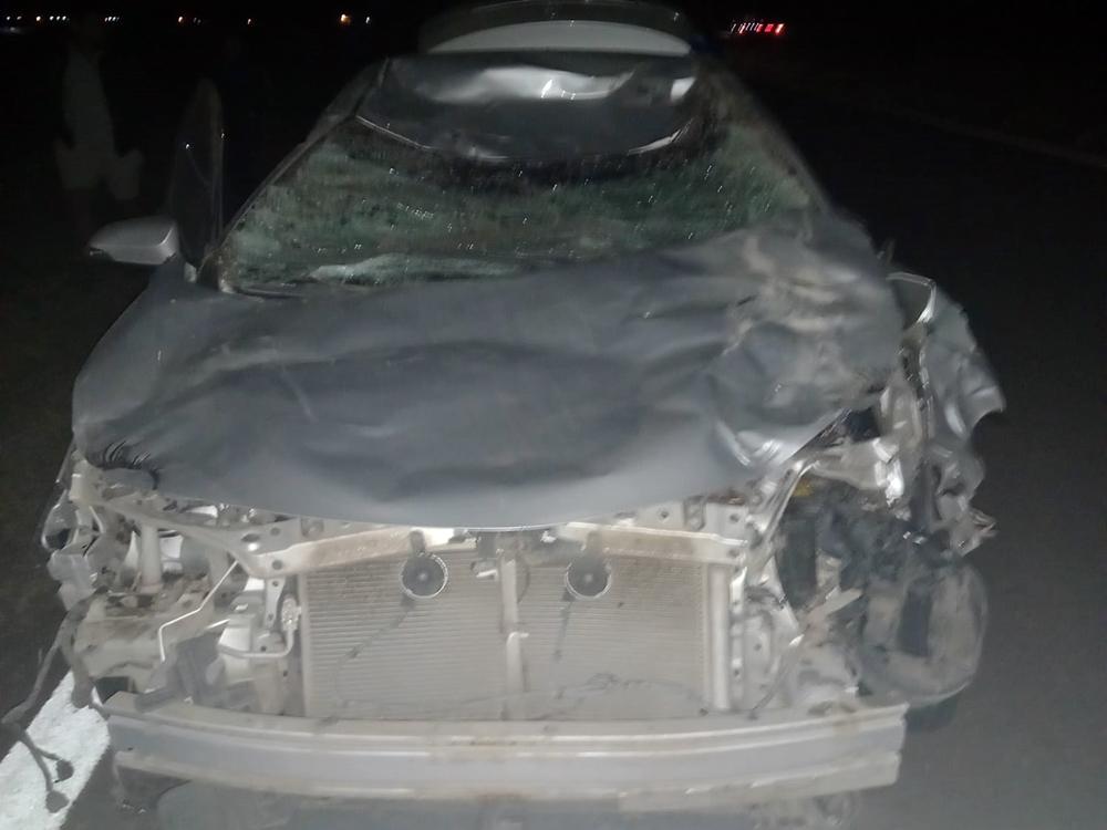 Una médica se accidentó al chocar un auto con un equino en la autovía 18