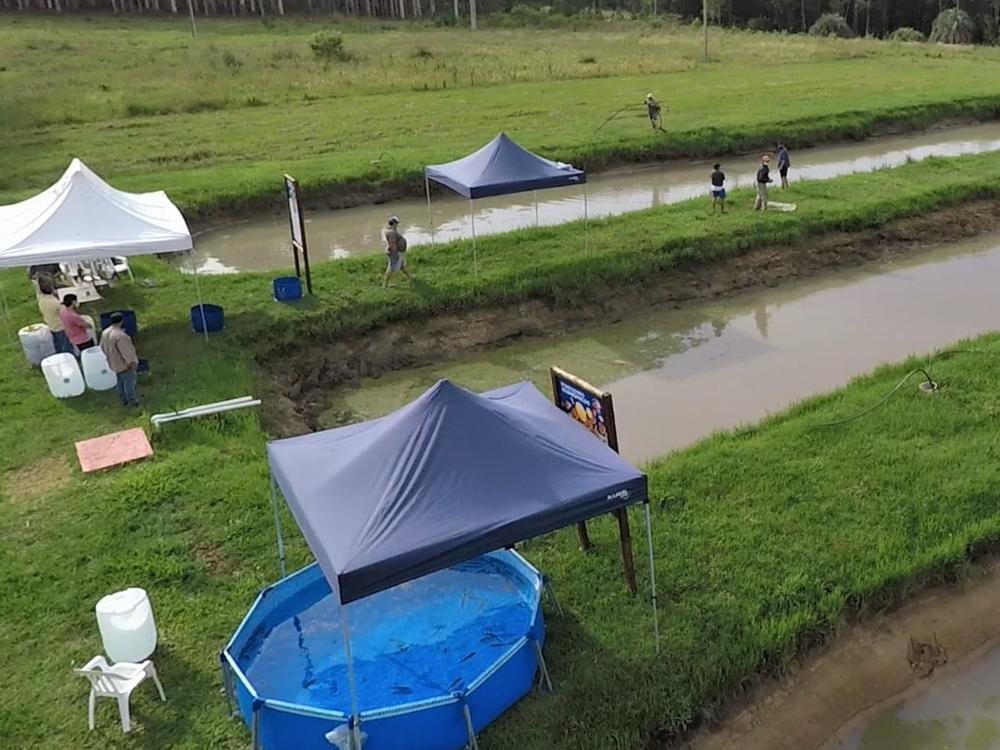 Se realizará la segunda jornada de producción de peces en la Región de Salto Grande