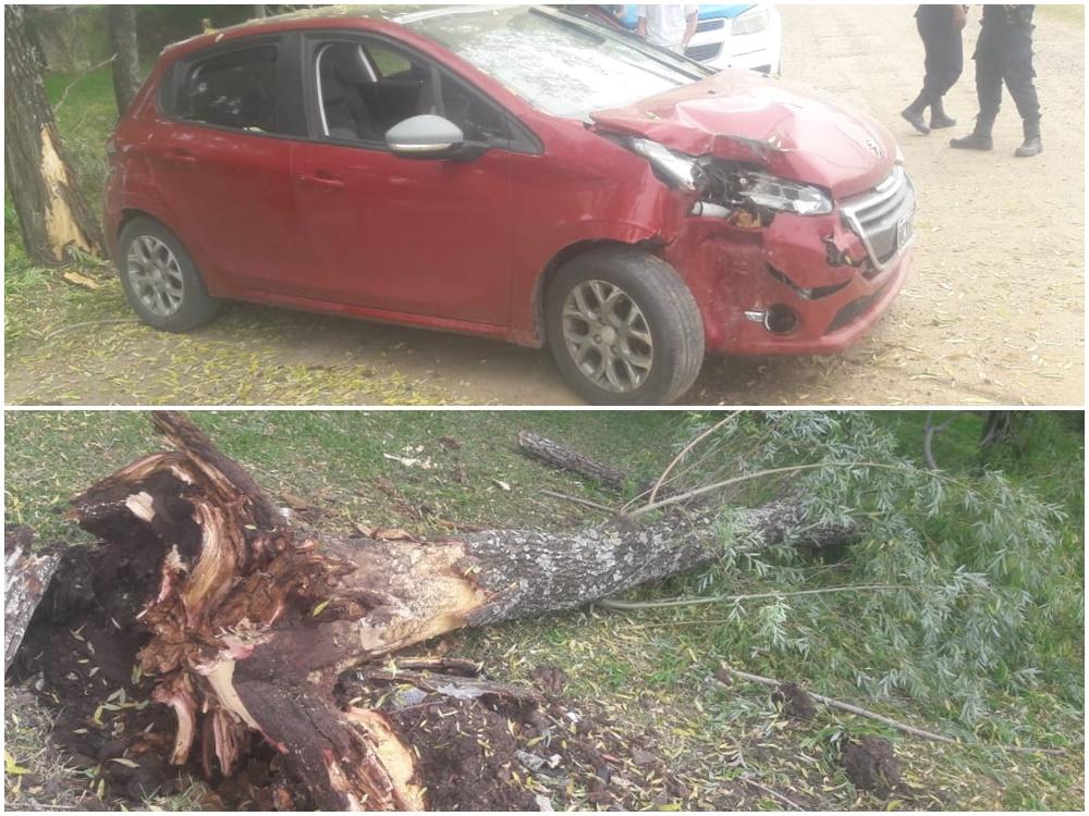 Jóvenes en un auto colisionaron contra un árbol