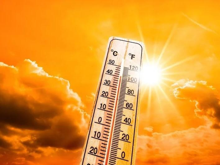 Recomendaciones ante la ola de calor