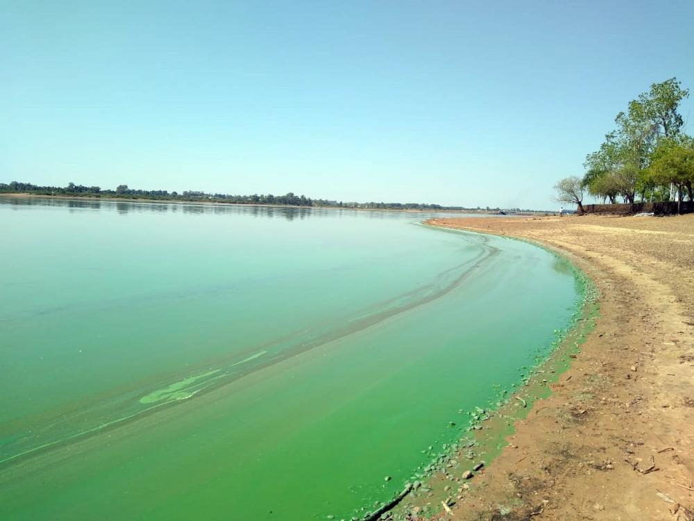 Materia fecal, Escherichia coli, y enterococos fueron hallados en playas sobre la costa del río Uruguay