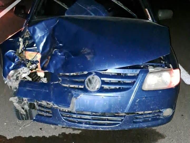 Un automóvil embistió a un animal vacuno