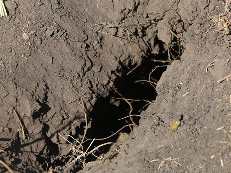 La Federación Agraria Entre Ríos se declaró en estado de alerta y movilización