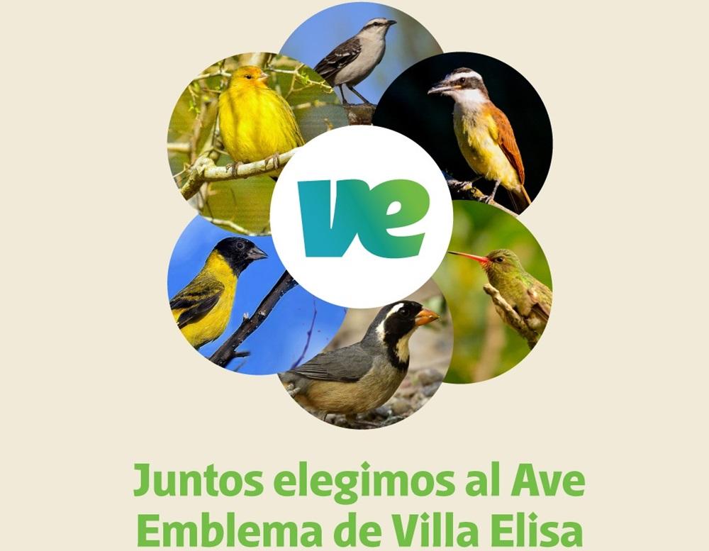 Se podrá votar por el Ave Emblema de Villa Elisa