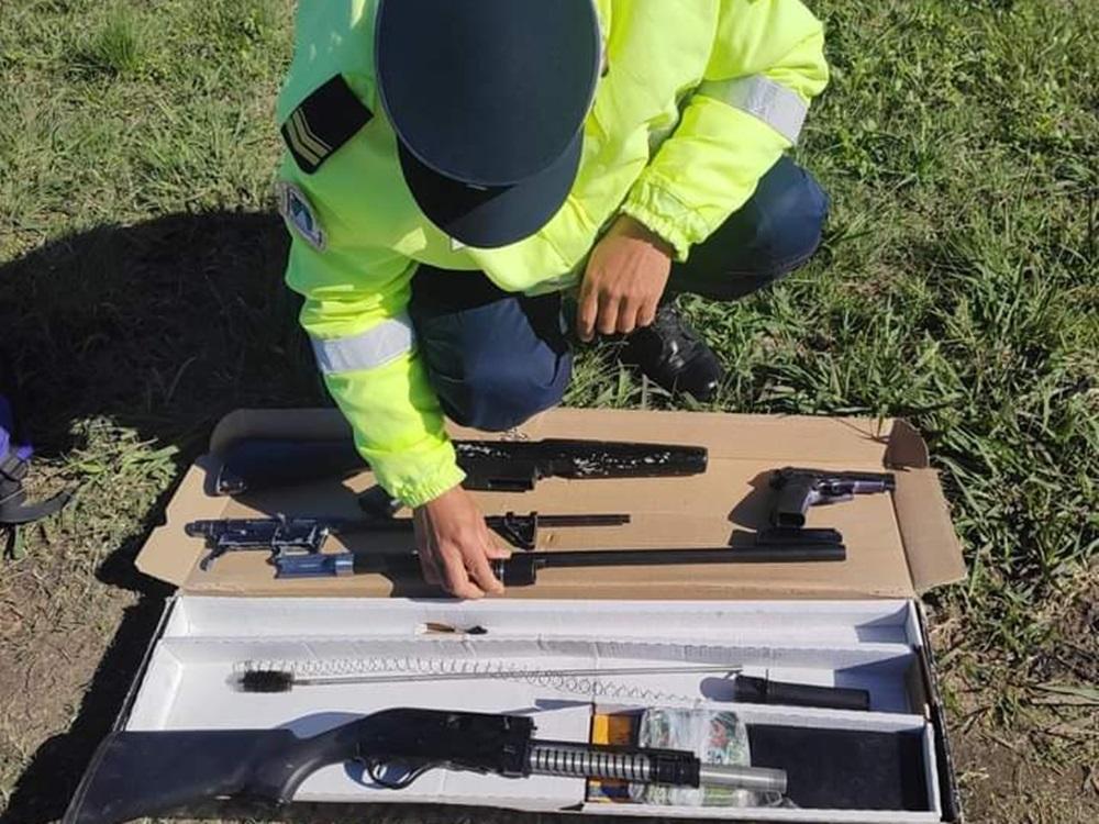 Secuestran armas y piezas faenadas de animales silvestres