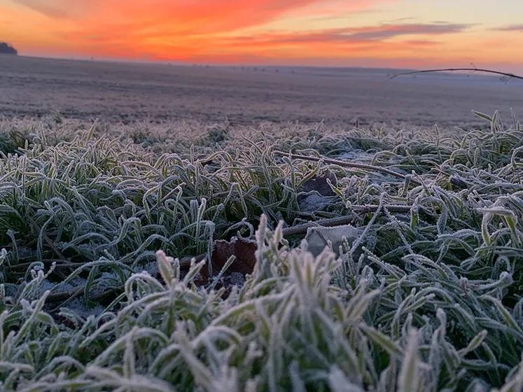 Se espera un brusco cambio de temperaturas con la llegada de la ola polar