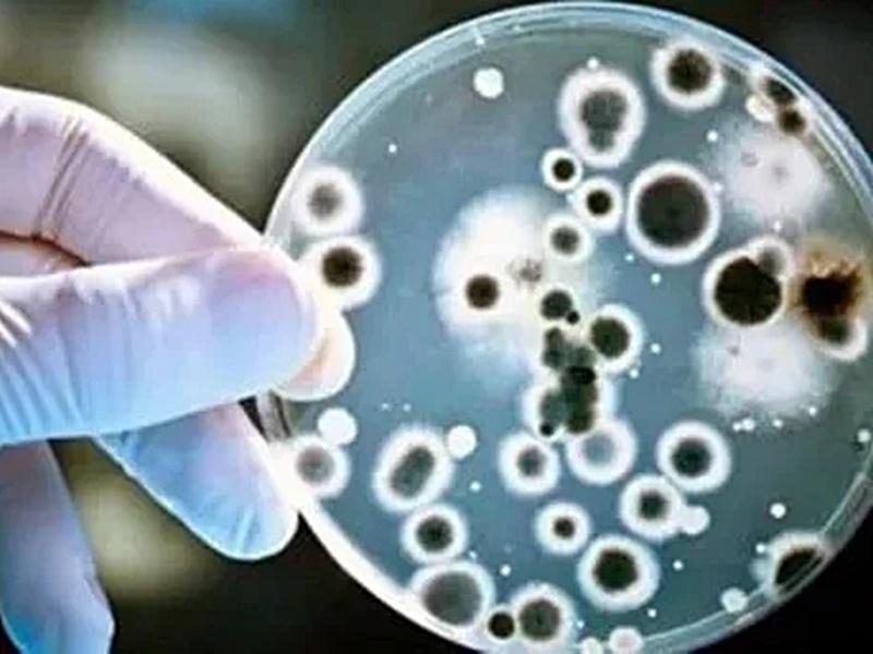 Bacteria mortal: murió una niña de dos años de Concordia