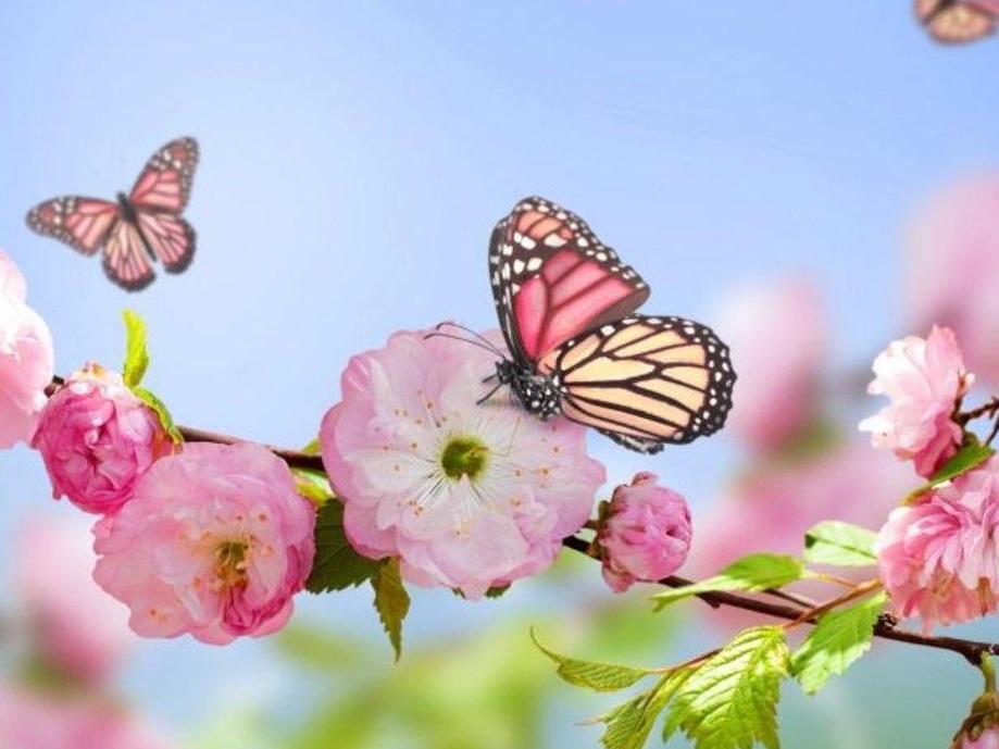 Llegó la primavera pero con temperaturas de verano