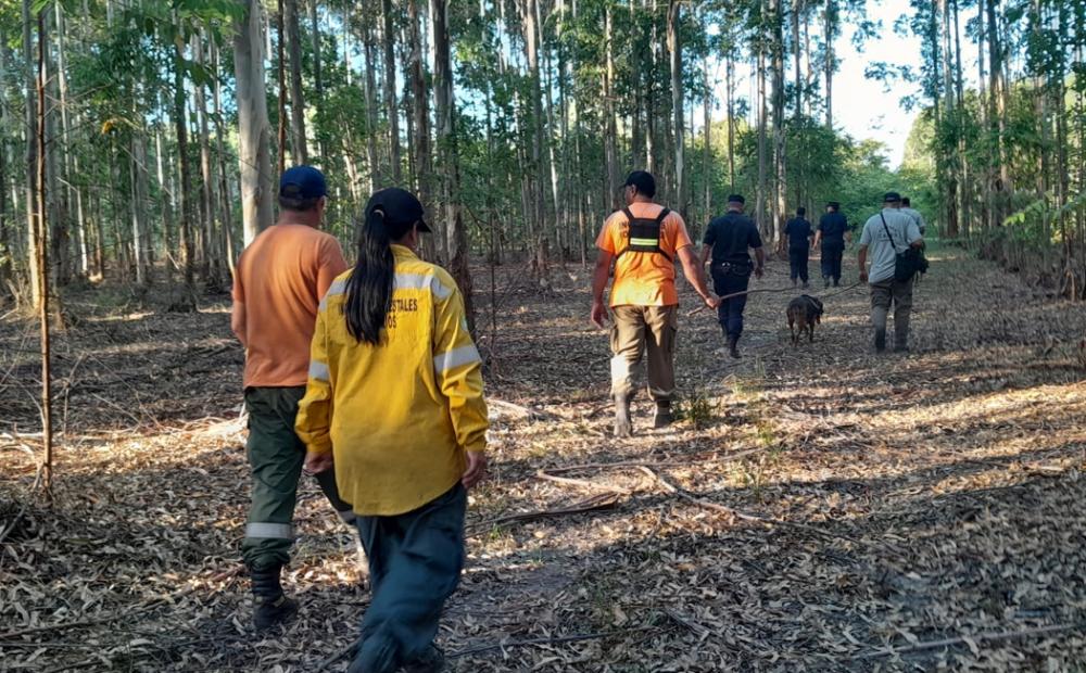 Suman perros y drones a los rastrillajes para dar con el paradero de Juan Maciel