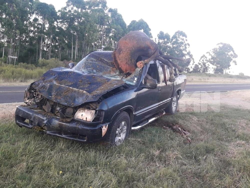 Impresionante choque entre una camioneta y un equino en la ruta 130