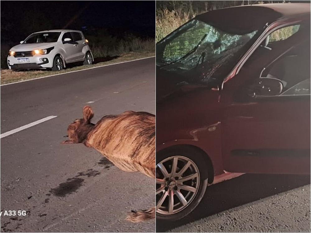 Dos vehículos impactaron contra un novillo en la ruta 130