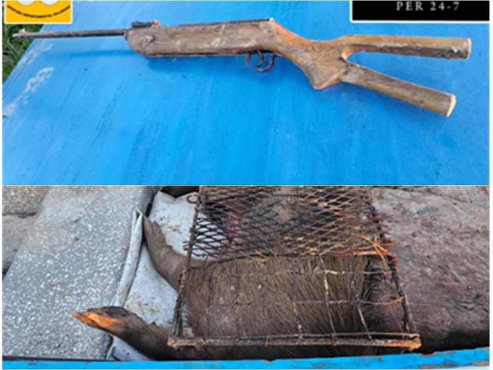 Secuestraron arma de fuego en el marco de una caza ilegal