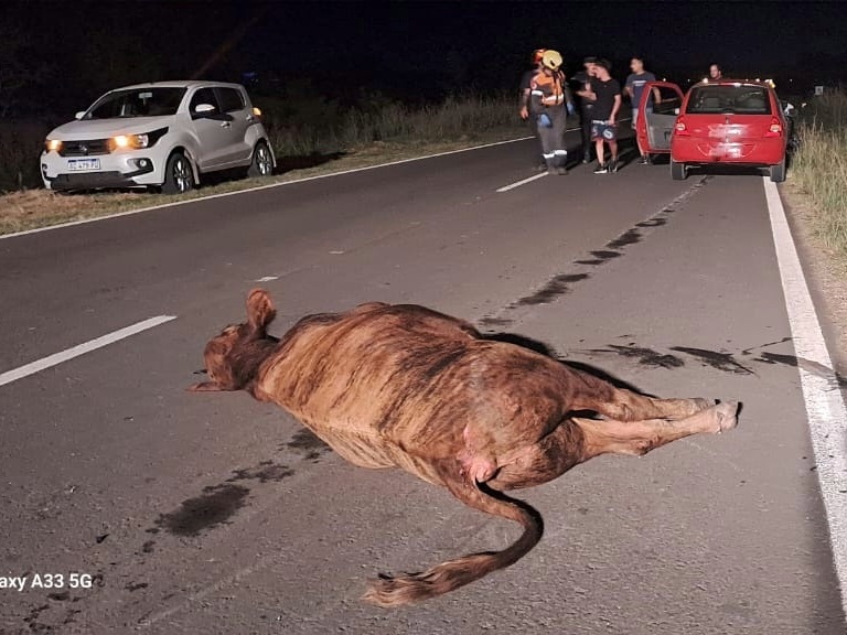 Dos vehículos impactaron contra un novillo en la ruta 130.