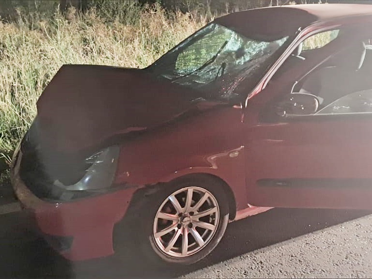 Dos vehículos impactaron contra un novillo en la ruta 130.