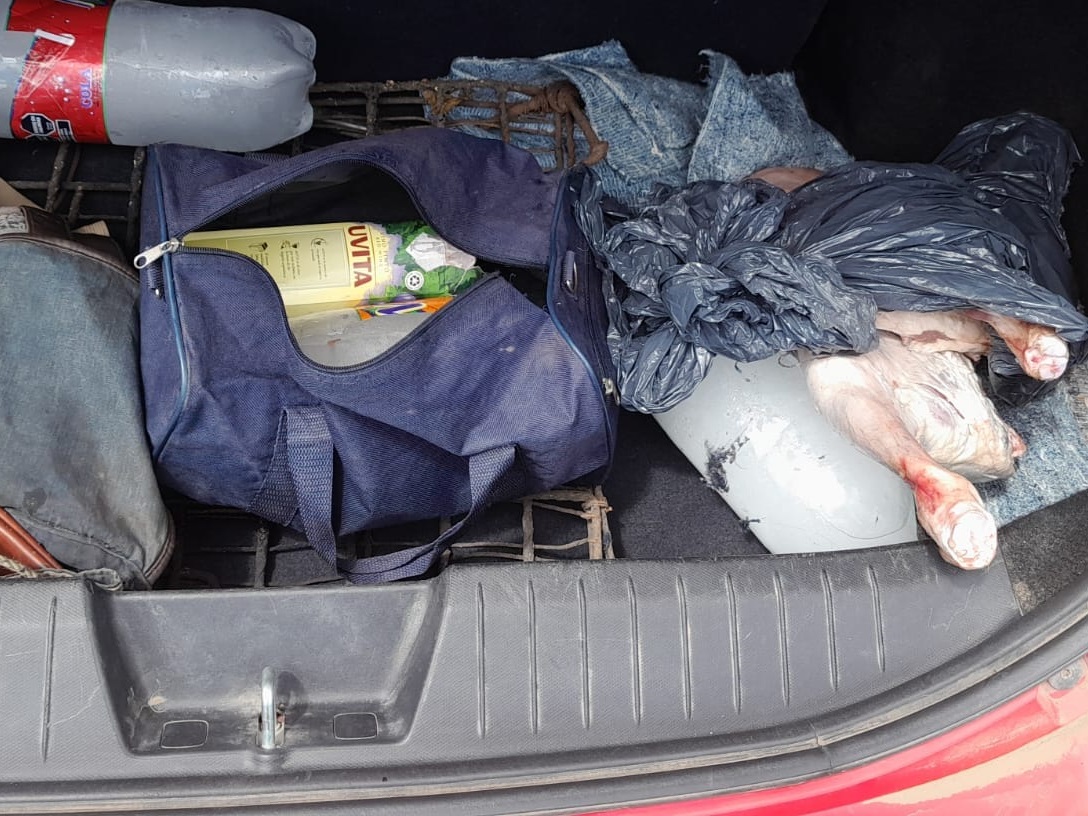 Llevaban media res de cordero en un remis.