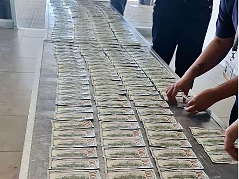 Detuvieron a un argentino que intentaba ingresar 50 mil dólares de forma irregular a Uruguay