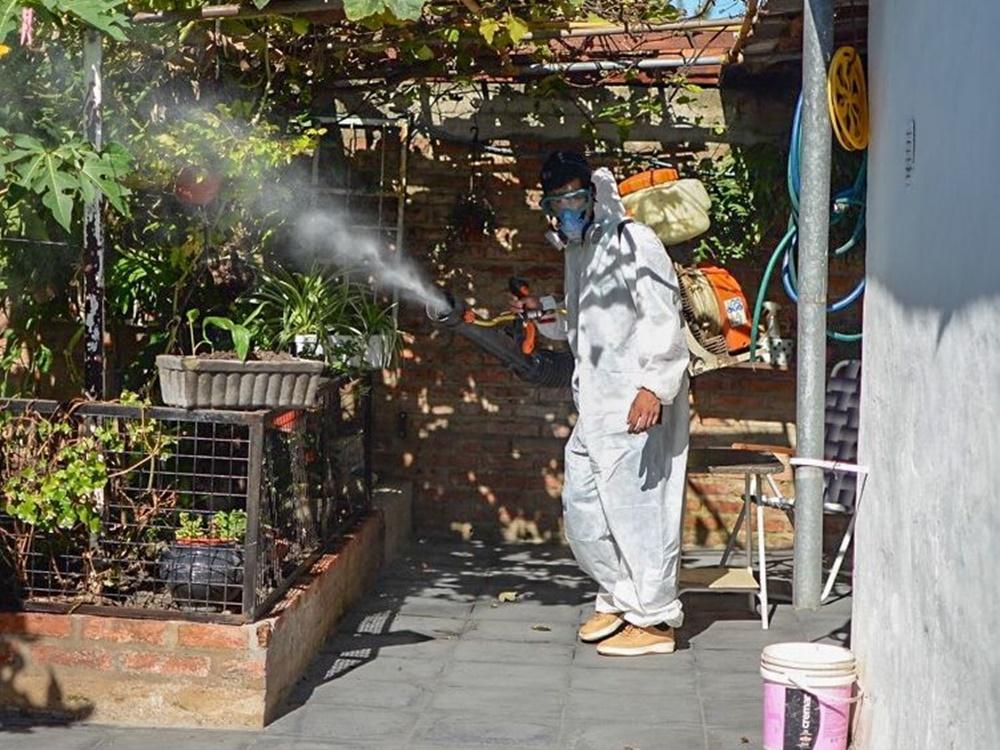 Dengue en San Salvador: no saben a ciencia cierta cuántos casos hay