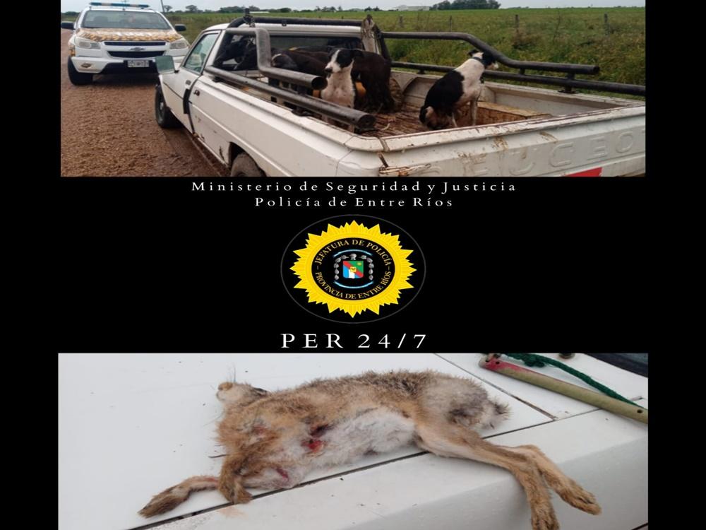 Brigada San Salvador intervino por cacería ilegal en colonia San Gregorio