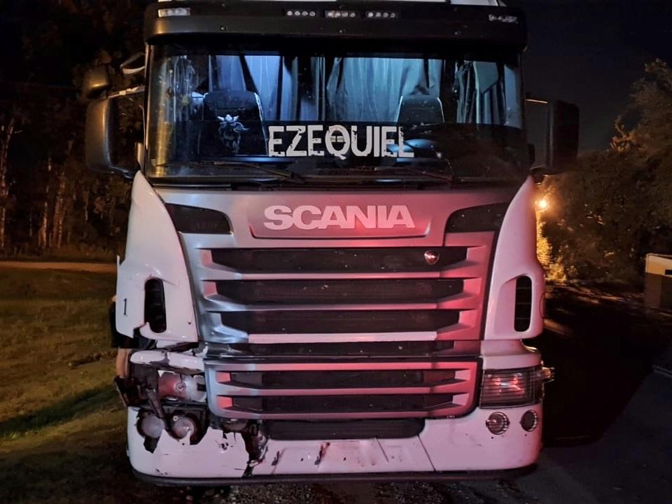 Camión colisionó con un caballo suelto en la ruta 130