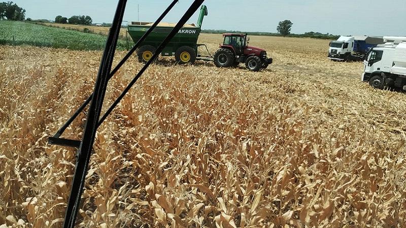 Federación Agraria advierte por el deterioro de la situación del sector productivo entrerriano