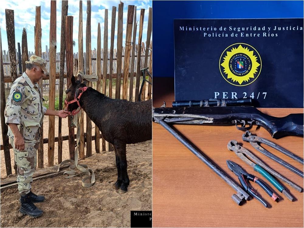 Seis allanamientos tras denuncia por robo en campos de La Criolla