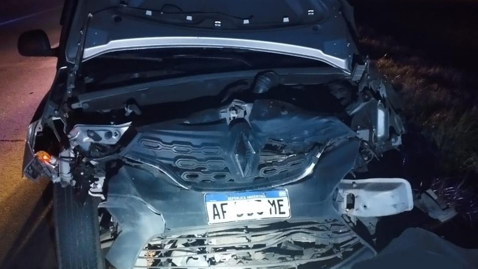 Siguen los choques por animales sueltos en la ruta 12: ahora un cerdo