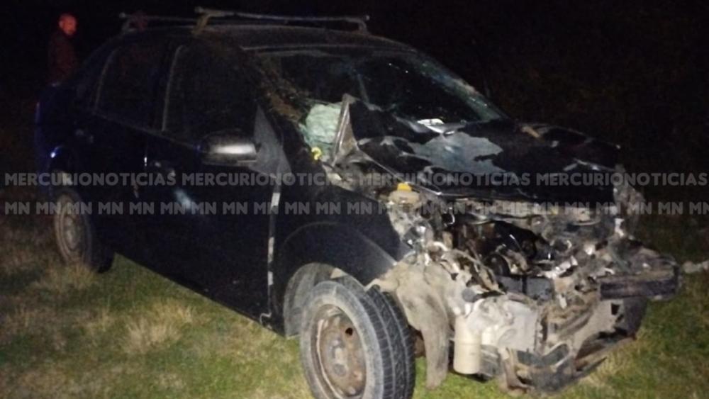 Automóvil colisionó con animal vacuno en el sur entrerriano