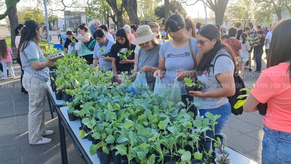 Estudiantes de la Secundaria entregaron plantines para fomentar la huerta orgánica