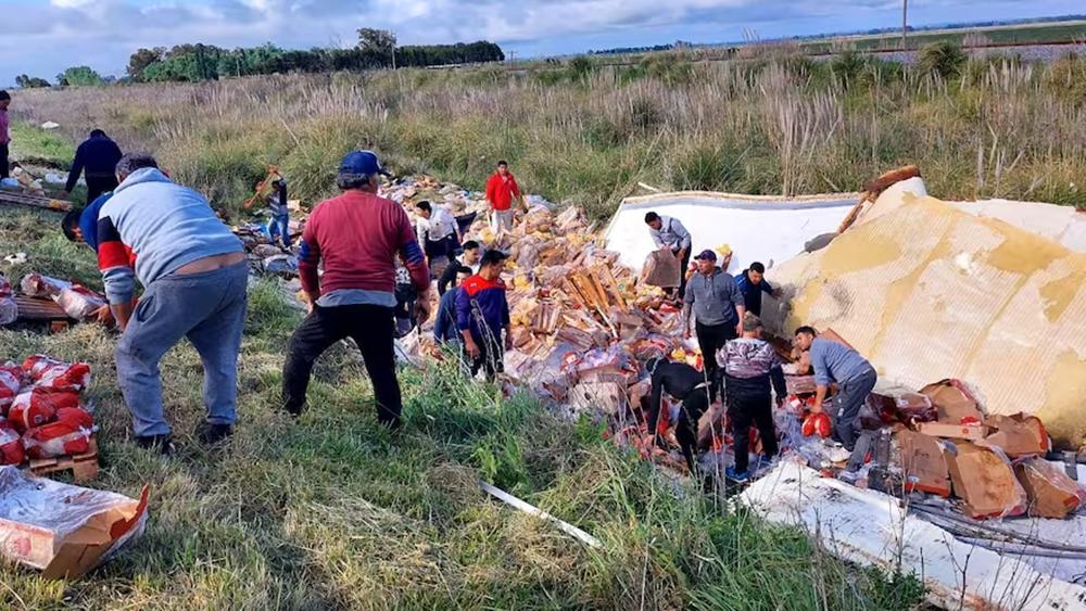 Decenas de personas saquean camión volcado con pollos de San José
