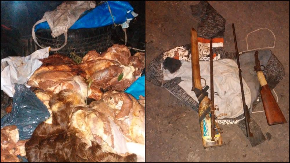 Dos hombres detenidos por abigeato: secuestran armas y carne vacuna