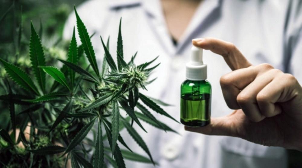 Encuesta sobre cannabis medicinal en Entre Ríos: involucran a pacientes, profesionales y productores