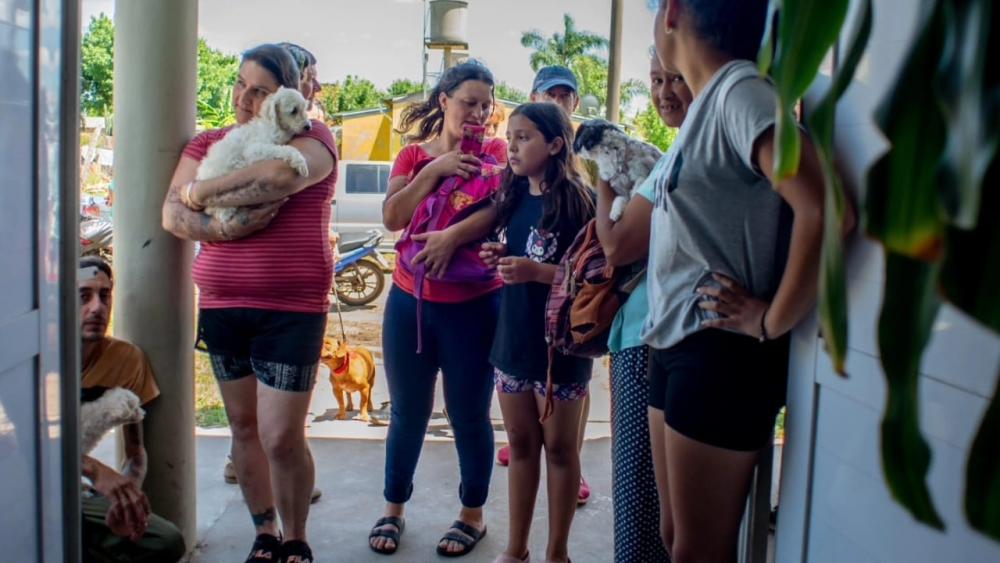 Jornada de castraciones masivas en San Salvador: 60 mascotas beneficiadas