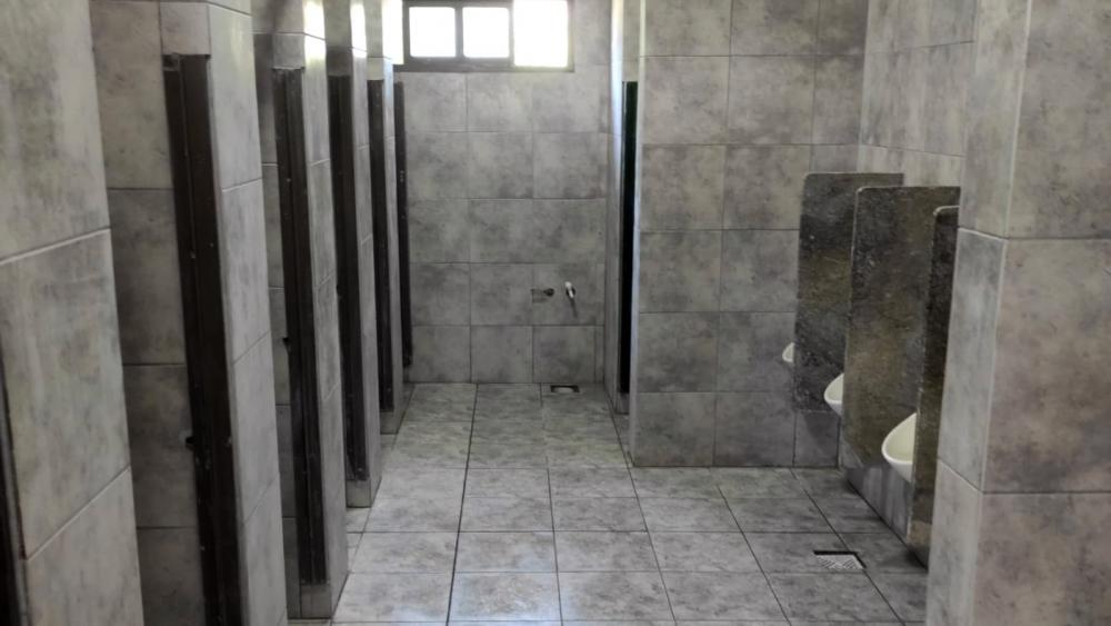 Ingresó en la etapa final la obra de emergencia en la Escuela 5
